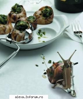 poze haioase scarbos