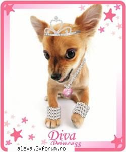 poze haioase seamana brytnei spears