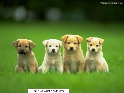 super draguti poze haioase