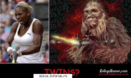 poze haioase twins???