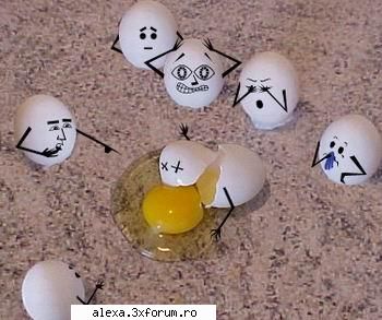 poze haioase accident