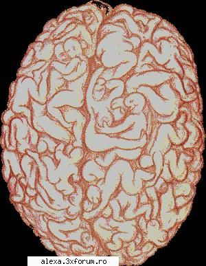 poze haioase male brain