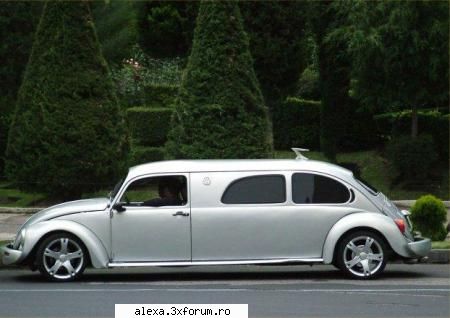 poze haioase limuzina broscutza