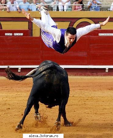 poze haioase toreadorul zburator