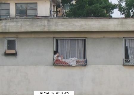 poze haioase terasa...