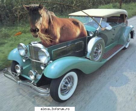 poze haioase cal putere