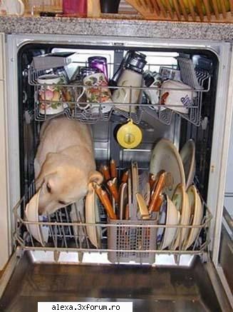 poze haioase spalam el?