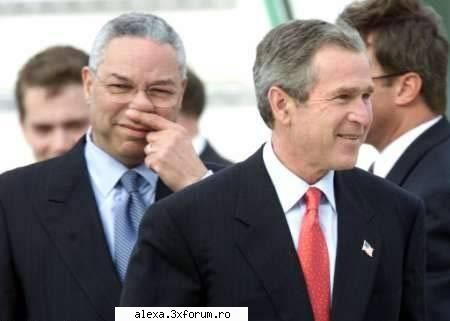 poze haioase bush smells