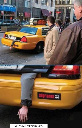 poze haioase glume proaste