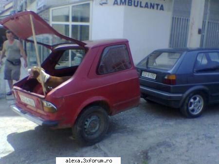 poze haioase noua remorca