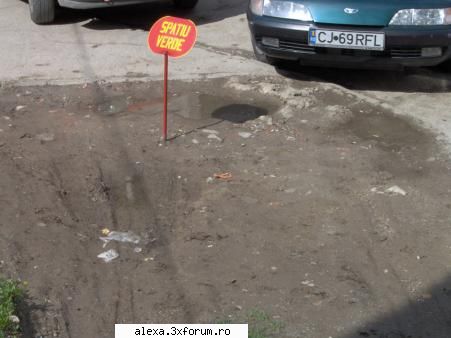 poze haioase spatiu verde