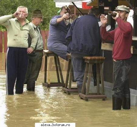 poze haioase face lumea cand sunt