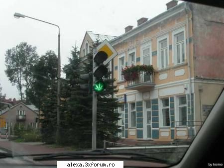 poze haioase semafor