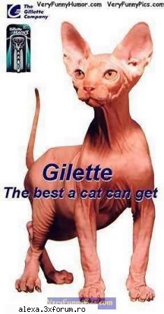 poze haioase folositzi gillete fiti cel din poza