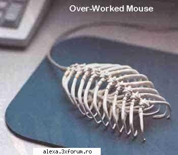 poze haioase over worked mouse