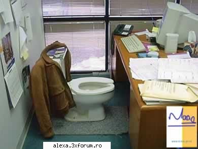 poze haioase fara pauze