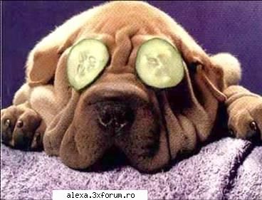 poze haioase tine tenu lui