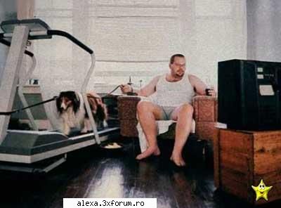 poze haioase plimbare cainele