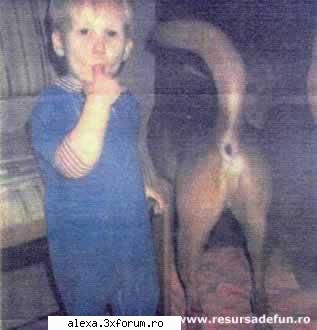 poze haioase gandesti gandesc eu?