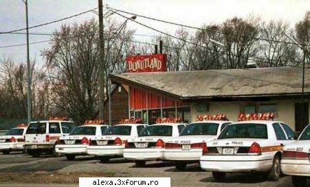 poze haioase donut_land