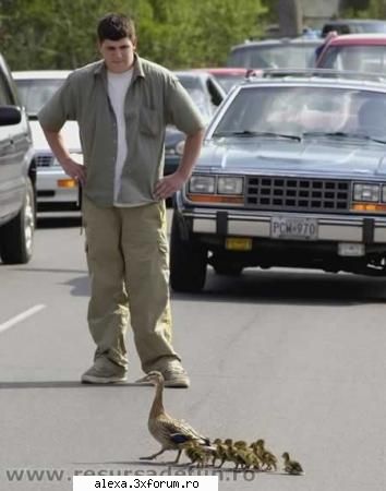 poze haioase puteti grabiti?