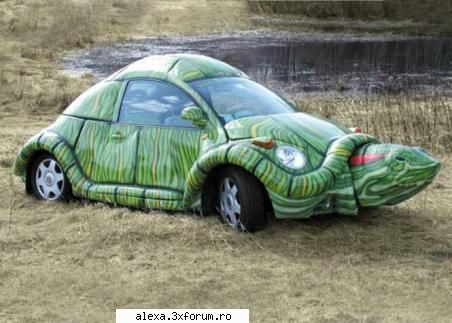 poze haioase broscutza