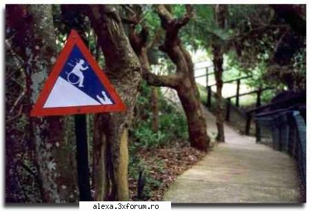 poze haioase watch out!