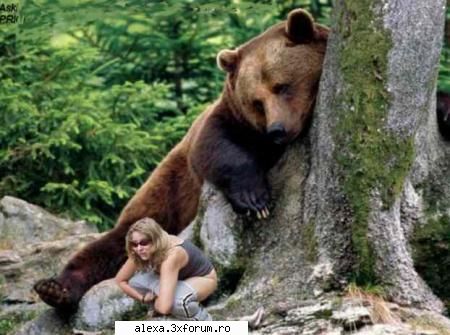 poze haioase you are not alone!