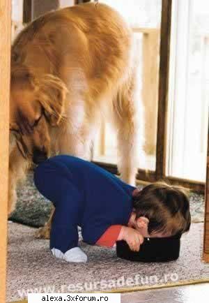 poze haioase papa bun