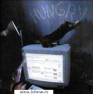 poze haioase i'm hungry!