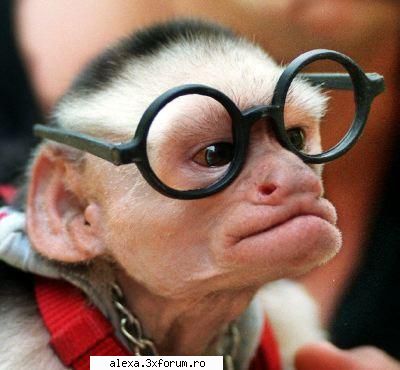 poze haioase uitat coleg ochelari drag noua, numa aici zambeste lasa voi ghiciti cine