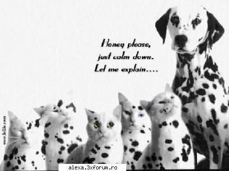 poze haioase dragut?