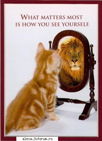 poze haioase unii cunoscuti cred asa