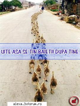 bancuri hai mah raluk chiar te-ai suparat naiba? glumeam shi ofence