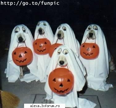 bancuri oricum dak iei mine vin body guarzii fak praf