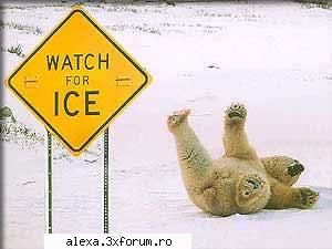 poze haioase grija aluneci