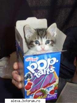 poze haioase hmmm... cred seamana fata noi din cls... mica stiti cine refer, nu???