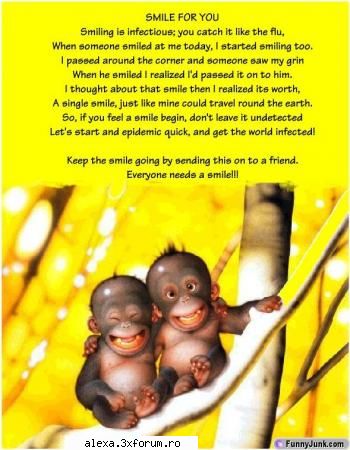 poze haioase wow!!! avem aici??? opa unul sunt 2!!! vad dublu!!!