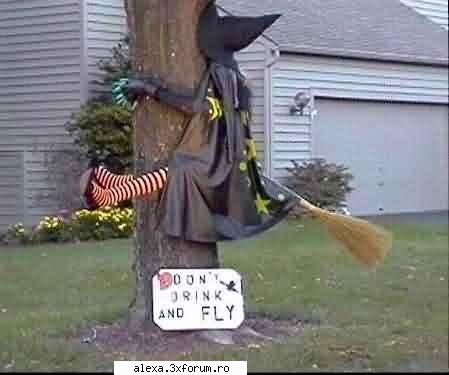 poze haioase asta vreau fac acum