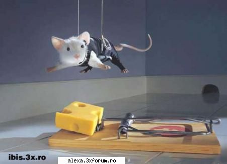 poze haioase misiune imposibila