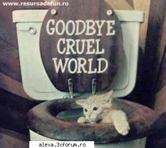 poze haioase goodbye