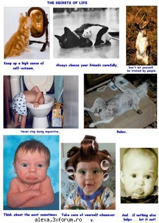 poze haioase secretele vietii