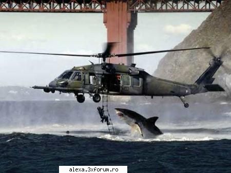 poze haioase watch out!!