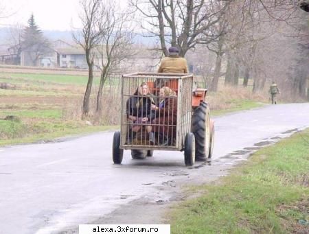 Poze haioase - putin timp la racoare n-ar strika - Poze