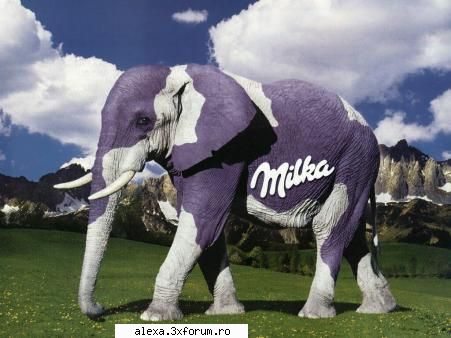 Poze haioase - Noua varianta de milka, acu in locu marmotelor ar - Poze