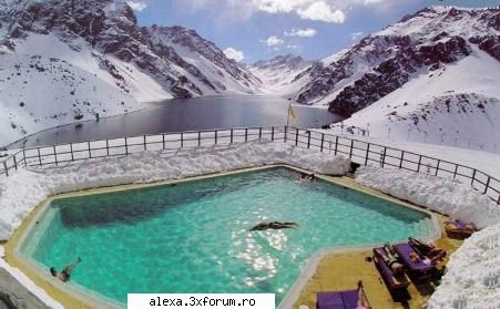 Poze haioase - let's go swiming - Poze