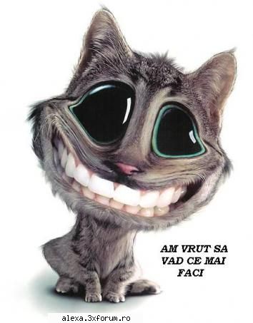 Poze haioase - Uite aici poza care seamana cu zemba. loool - Poze