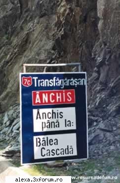 Poze haioase - ar tb sa mai frecventeze scoala - Poze