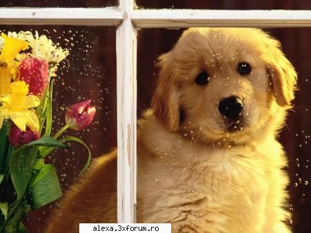 Poze haioase - he is so cuteeeeeeeee!!!!!!!!!!!! - Poze