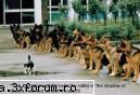 Poze haioase 2 - man she's crazy - Poze